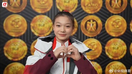 体操世界杯开罗站:中国队再获2金1银1铜 体操世界杯开罗站:中国队再获2金1银1铜