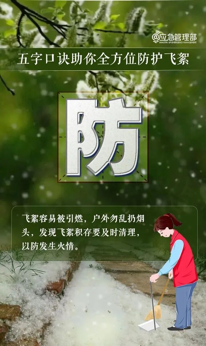 飞絮期提前来了！易燃性堪比汽油，警惕