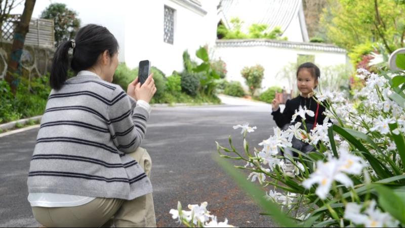 江西：春和景明 近郊游备受青睐