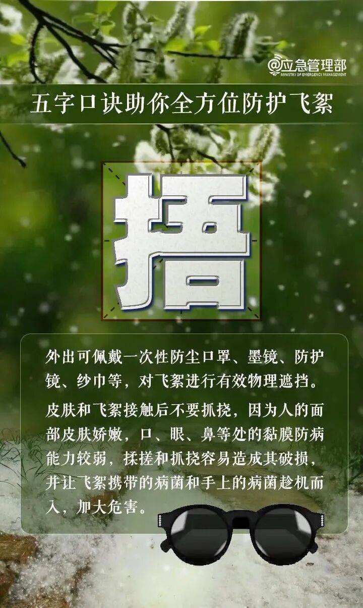 飞絮期提前来了！易燃性堪比汽油，警惕