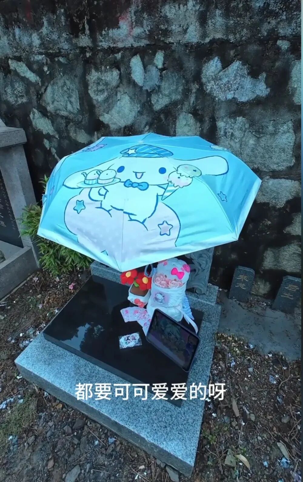 广东25岁守墓人自费扮玩偶祭拜小女孩，每天早上主动跟逝者打招呼：我不想他们被遗忘