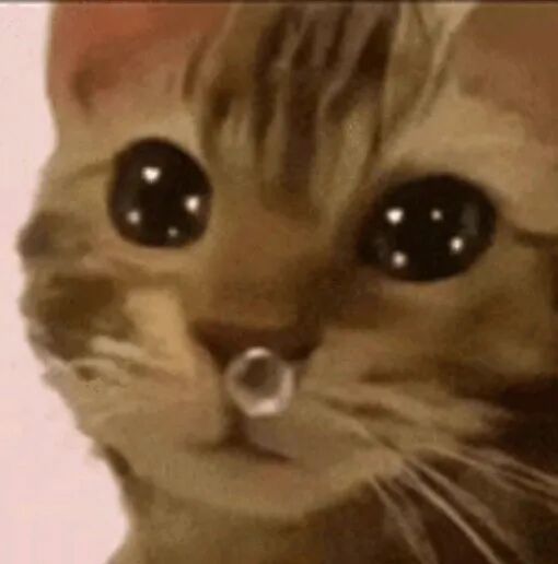 报警电话里全是哭声!民警赶到当场“傻眼”,网友:不容易… 报警电话里全是哭声!民警赶到当场“傻眼”,网友:不容易…