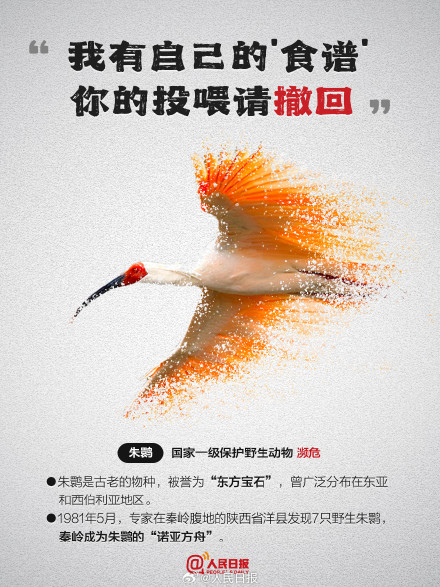 今天，为它们发条微博！别让珍稀动物成为消失的它