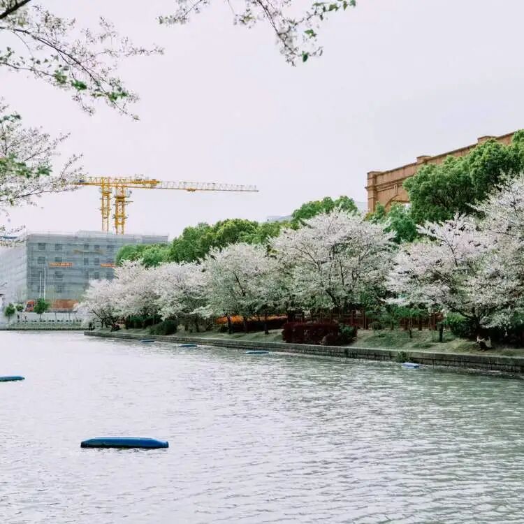 “真后悔自己没有早点发现”,上海一处新晋网红打卡点火了!有人骑了28公里而来…… “真后悔自己没有早点发现”,上海一处新晋网红打卡点火了!有人骑了28公里而来……