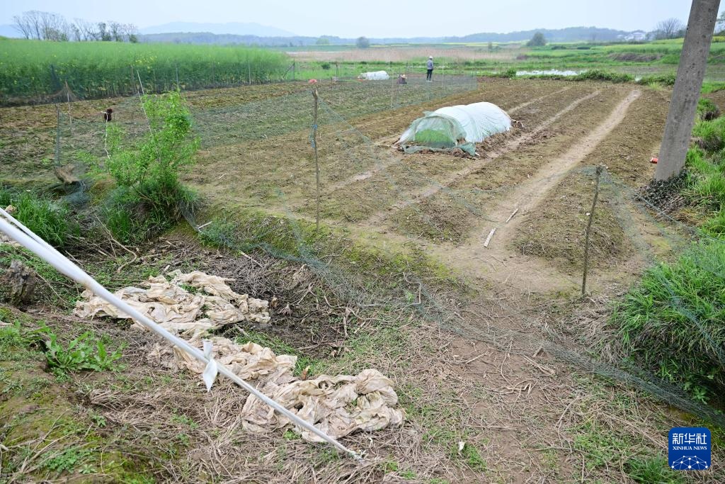 莫让农资废弃物在田间“流浪”