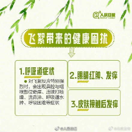 北京：气温回升飞絮又至，这些时段和区域需重点防范