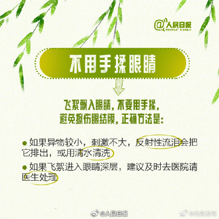 北京：气温回升飞絮又至，这些时段和区域需重点防范