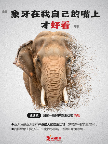 今天，为它们发条微博！别让珍稀动物成为消失的它