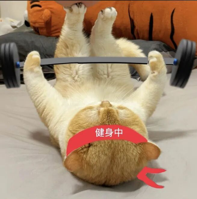 一高校明确：这类学生必修“减脂课”！