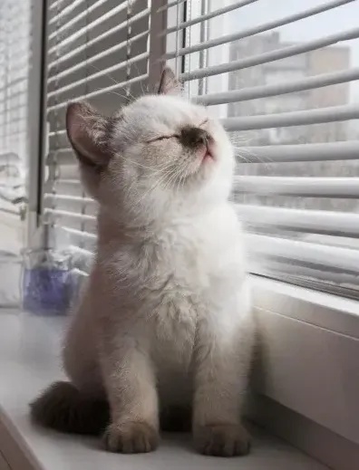 上海人注意:又要变天!风雨登场…本周气温大起大落!官方提醒️ 上海人注意:又要变天!风雨登场…本周气温大起大落!官方提醒️