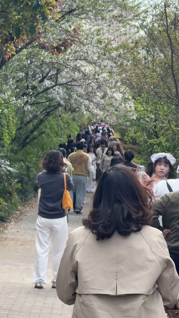 “真后悔自己没有早点发现”,上海一处新晋网红打卡点火了!有人骑了28公里而来…… “真后悔自己没有早点发现”,上海一处新晋网红打卡点火了!有人骑了28公里而来……