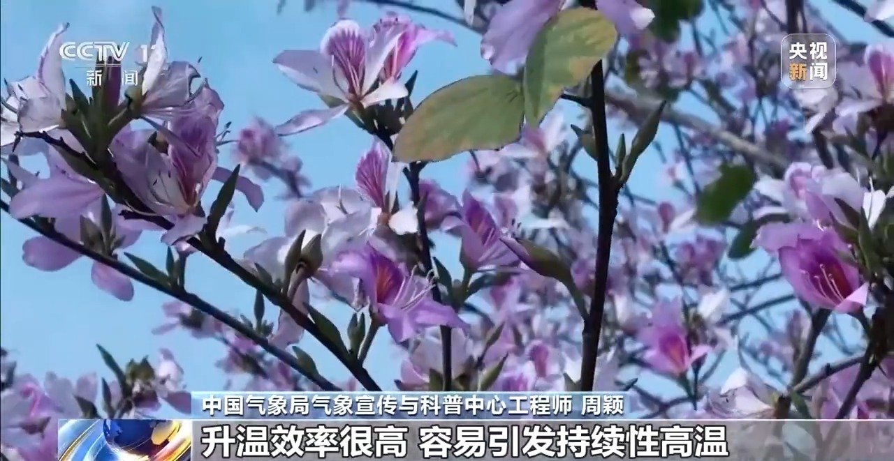 华南多地高温，专家：未来一周高温范围将继续扩大