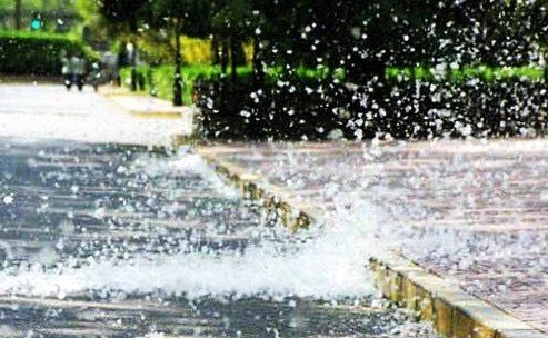 又来了！孩子该如何防御？