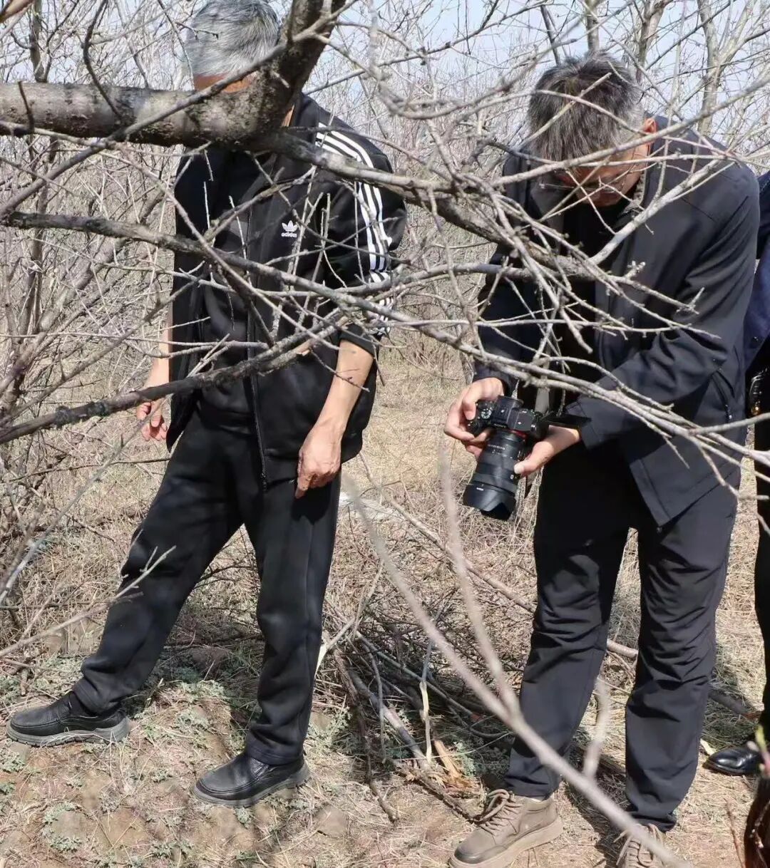 5人夜盗将军墓，被无人机全程锁定现场抓获！