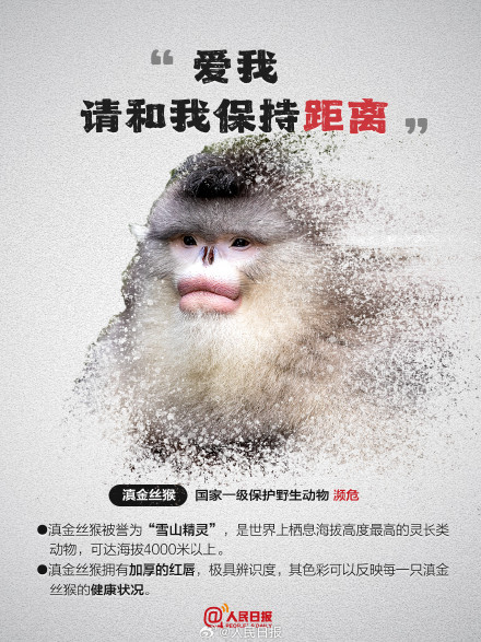 今天，为它们发条微博！别让珍稀动物成为消失的它