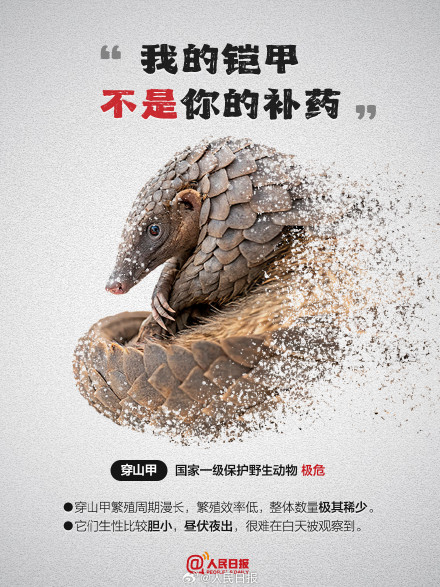 今天，为它们发条微博！别让珍稀动物成为消失的它