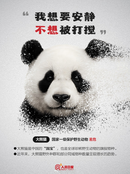 今天，为它们发条微博！别让珍稀动物成为消失的它