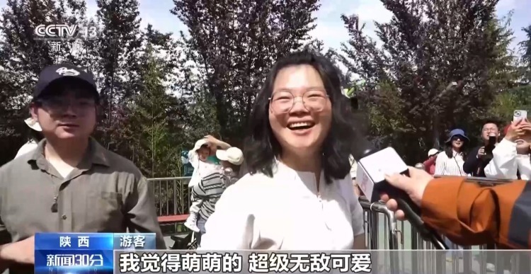 “内八字”步伐有讲究 一起看“七仔”的吃播日常