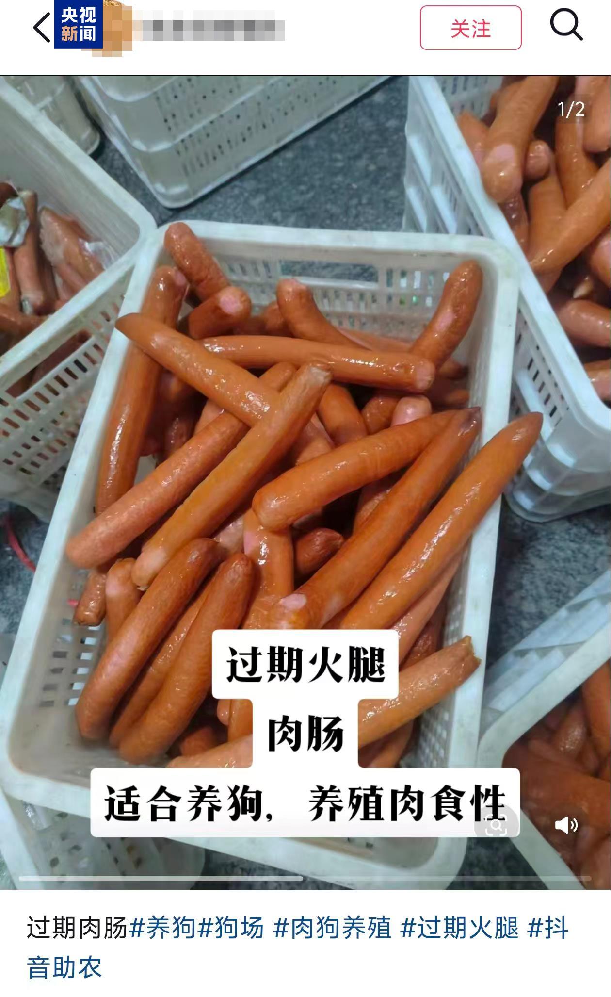 过期食品竟成宠物饲料“平替” 专家：属违法行为
