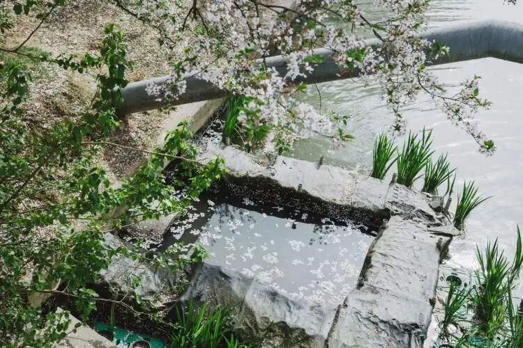 “真后悔自己没有早点发现”,上海一处新晋网红打卡点火了!有人骑了28公里而来…… “真后悔自己没有早点发现”,上海一处新晋网红打卡点火了!有人骑了28公里而来……