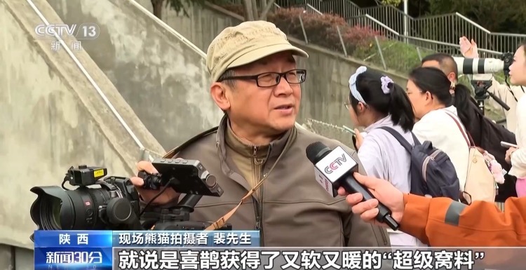 “内八字”步伐有讲究 一起看“七仔”的吃播日常