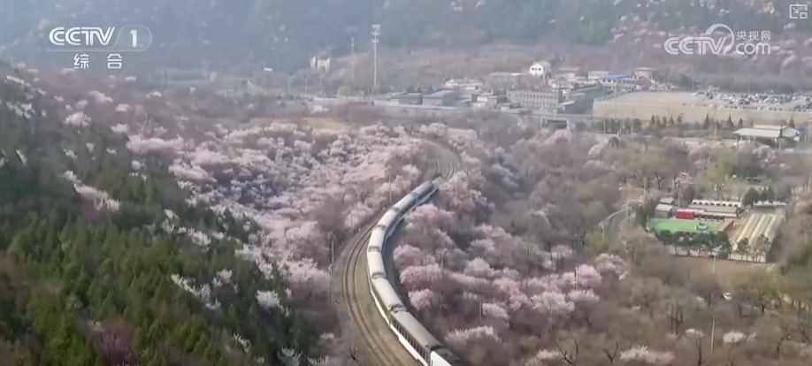 搭乘“开往春天的列车”看春日文旅一路生花“绽放”消费热活力