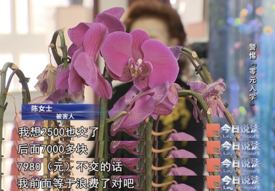 专坑不“躺平”的老年人！退休老人报直播剪辑课被骗上万元……