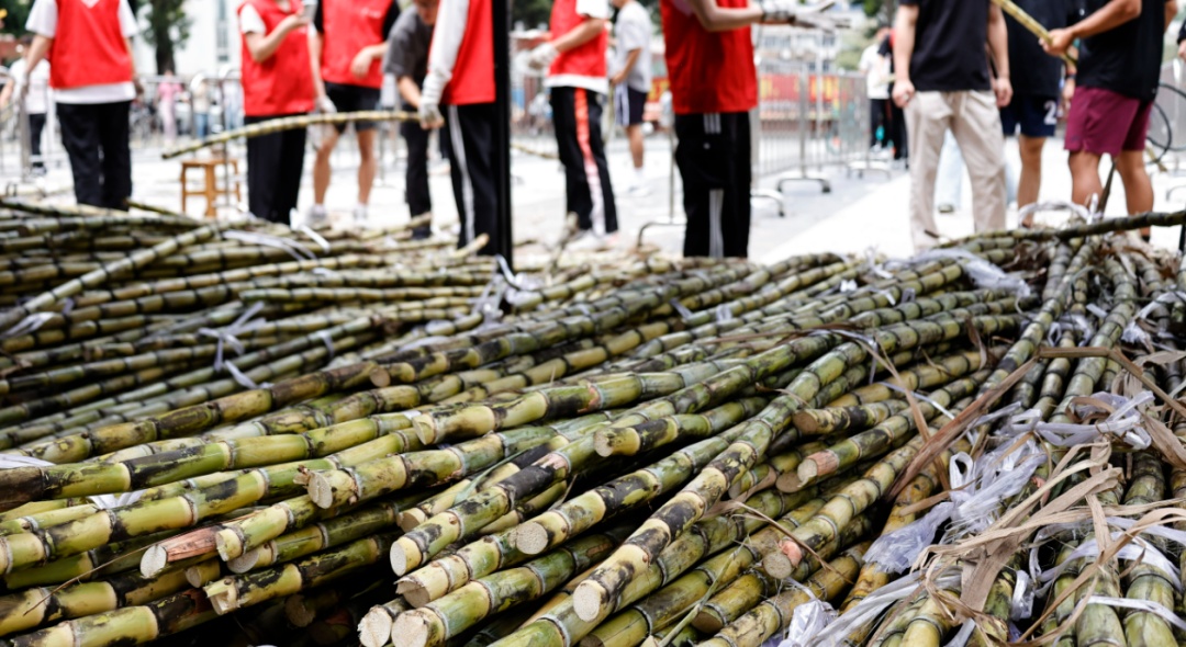 清明后易出现，紧急提醒：不要乱吃！