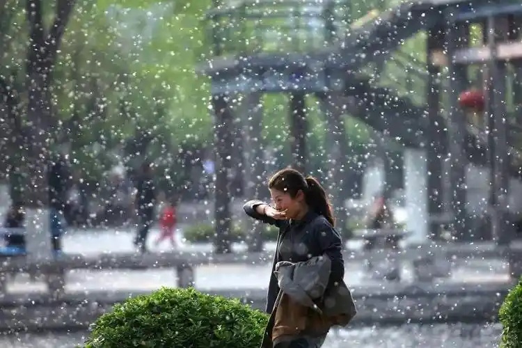 又来了！孩子该如何防御？