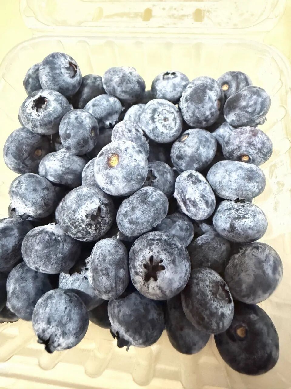 吃蓝莓能护眼、消炎？医生：可缓解疲劳，不能治近视，想“临时起效”不如闭眼休息