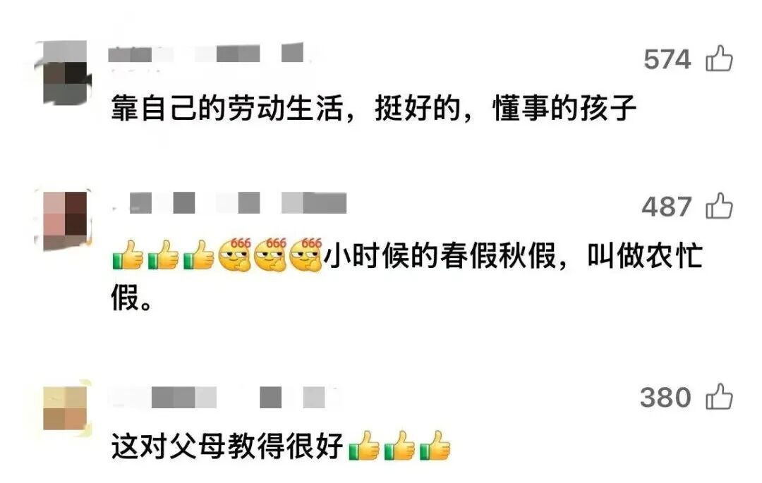 鱼档少年，为什么火了？