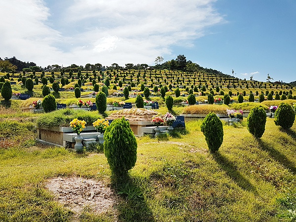 上海女子留下“海葬”录音后病故,丈夫和儿子却坚持墓葬…吵上法庭! 上海女子留下“海葬”录音后病故,丈夫和儿子却坚持墓葬…吵上法庭!