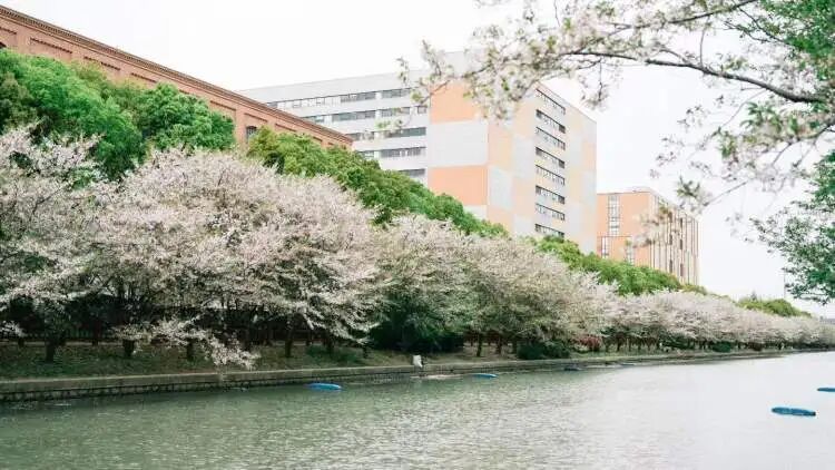 “真后悔自己没有早点发现”,上海一处新晋网红打卡点火了!有人骑了28公里而来…… “真后悔自己没有早点发现”,上海一处新晋网红打卡点火了!有人骑了28公里而来……