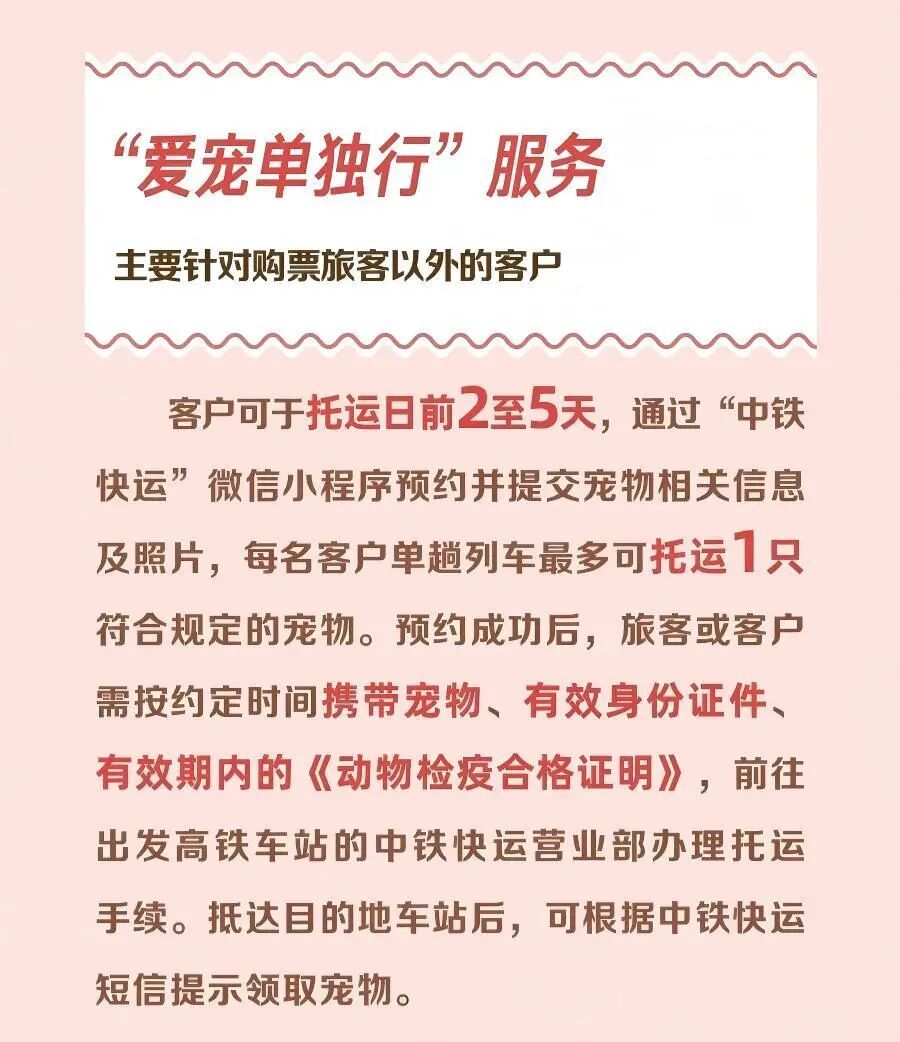 高铁宠物托运今起优化：新增11座车站50趟动车可办