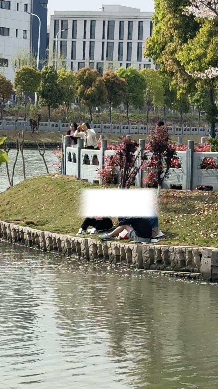 “真后悔自己没有早点发现”,上海一处新晋网红打卡点火了!有人骑了28公里而来…… “真后悔自己没有早点发现”,上海一处新晋网红打卡点火了!有人骑了28公里而来……