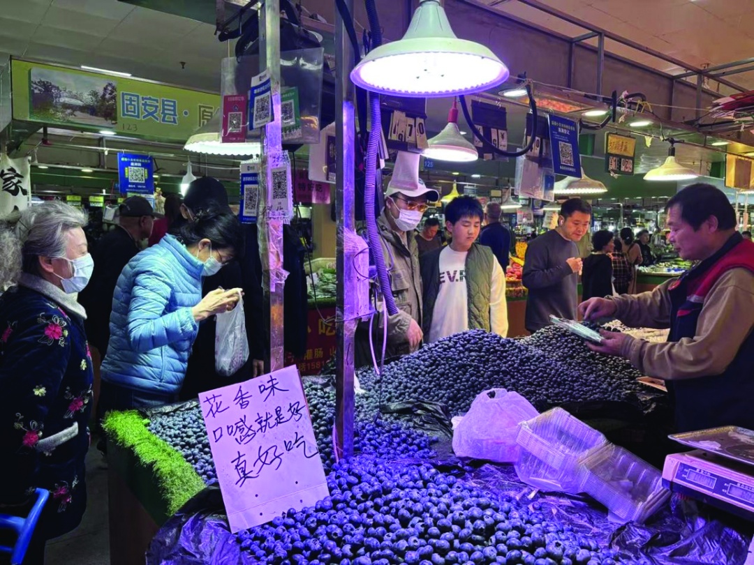 蓝莓降价背后:深加工或成下一增长点 蓝莓降价背后:深加工或成下一增长点