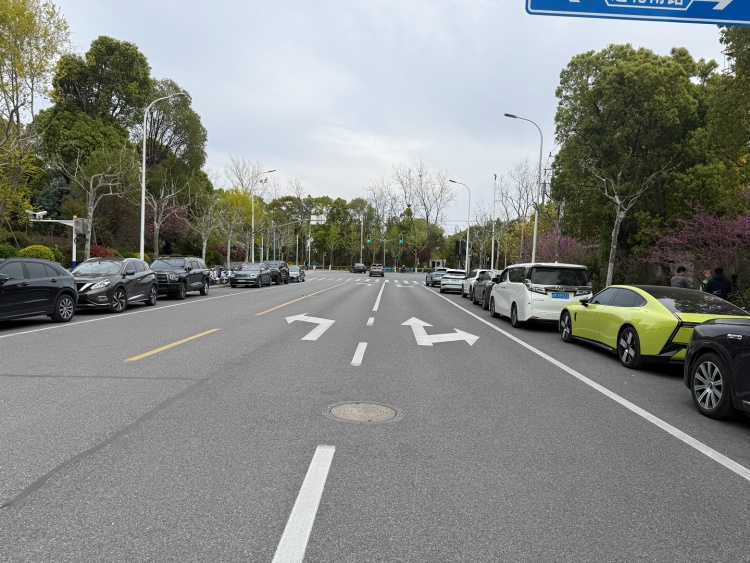 “真后悔自己没有早点发现”,上海一处新晋网红打卡点火了!有人骑了28公里而来…… “真后悔自己没有早点发现”,上海一处新晋网红打卡点火了!有人骑了28公里而来……