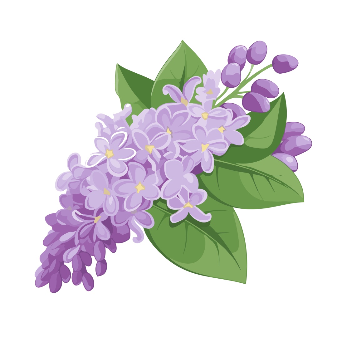 五万株丁香绽放！北京下个顶流已就位，地址就在——