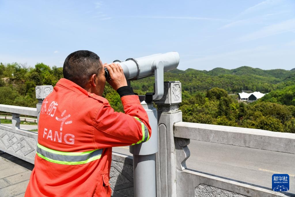 乌蒙深处的“护花使者”