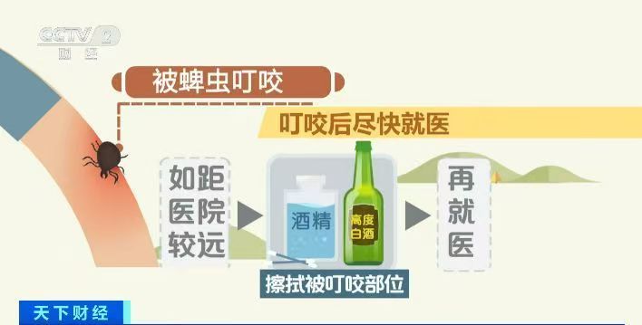 踏青游玩需注意！蜱虫进入活跃期，被叮咬后这个动作不要做