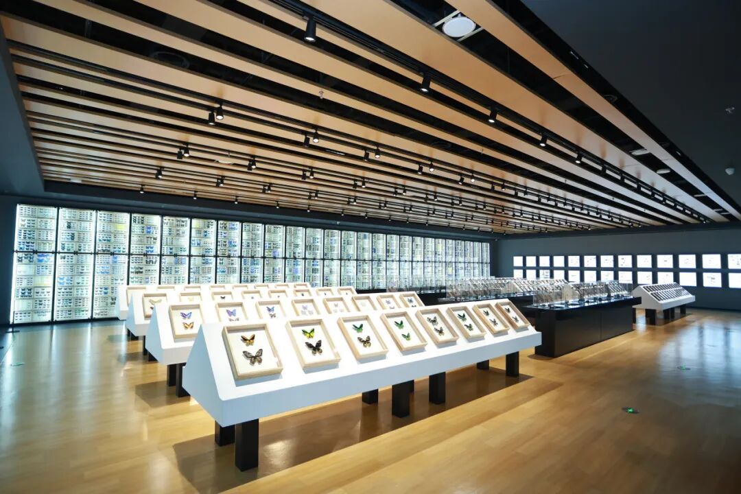 重磅！北京新添一博物馆，今日开馆——