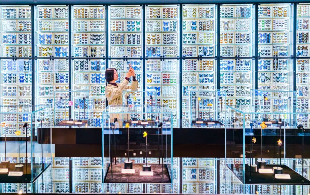 重磅！北京新添一博物馆，今日开馆——