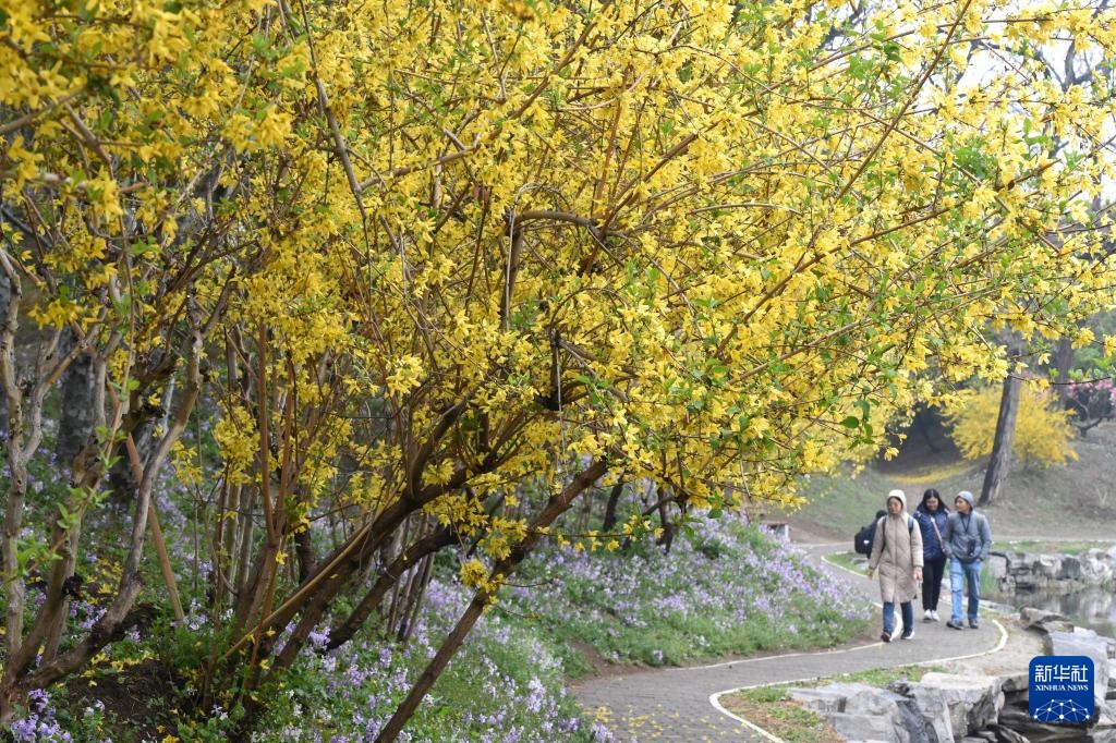 圆明园第三十一届踏青节开幕