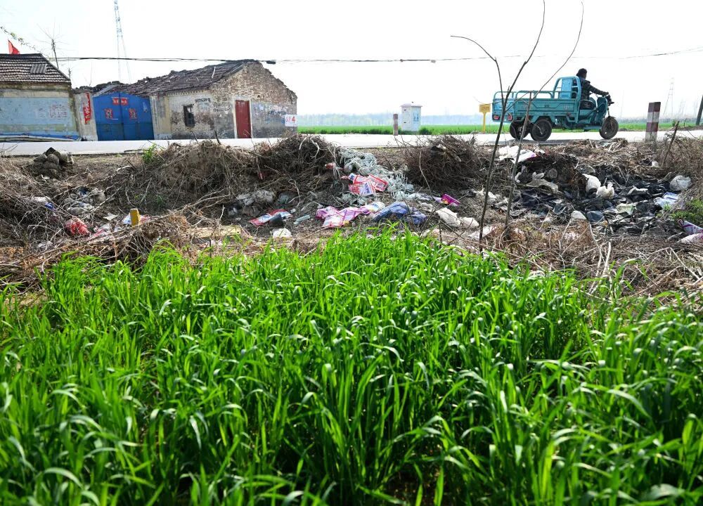 田间地头,为何变成“农资垃圾场”? 田间地头,为何变成“农资垃圾场”?