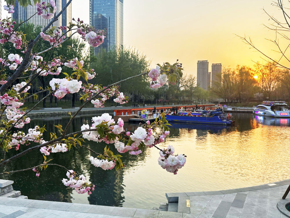 春日经济新图景｜人间四月天，“花生态”绽出“花生活”