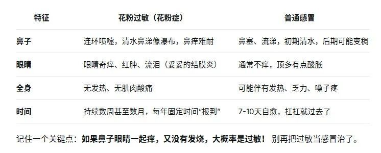 别再把喷嚏甩锅给桃花了！春天真正的“花粉刺客”是它……