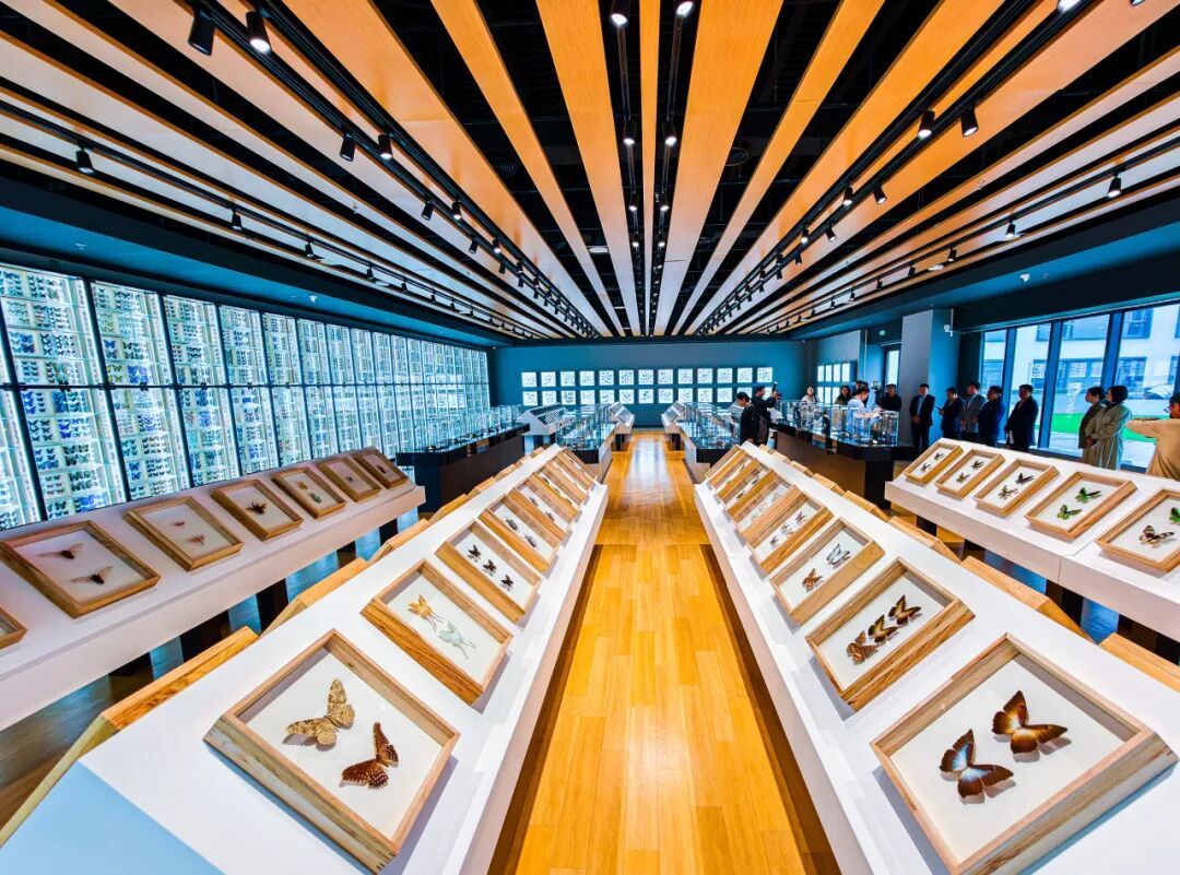 重磅！北京新添一博物馆，今日开馆——