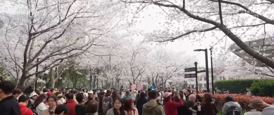 “流动的风景线”串联多元消费业态 “追花人”奔赴一场“春之约”