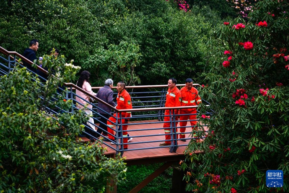 乌蒙深处的“护花使者”