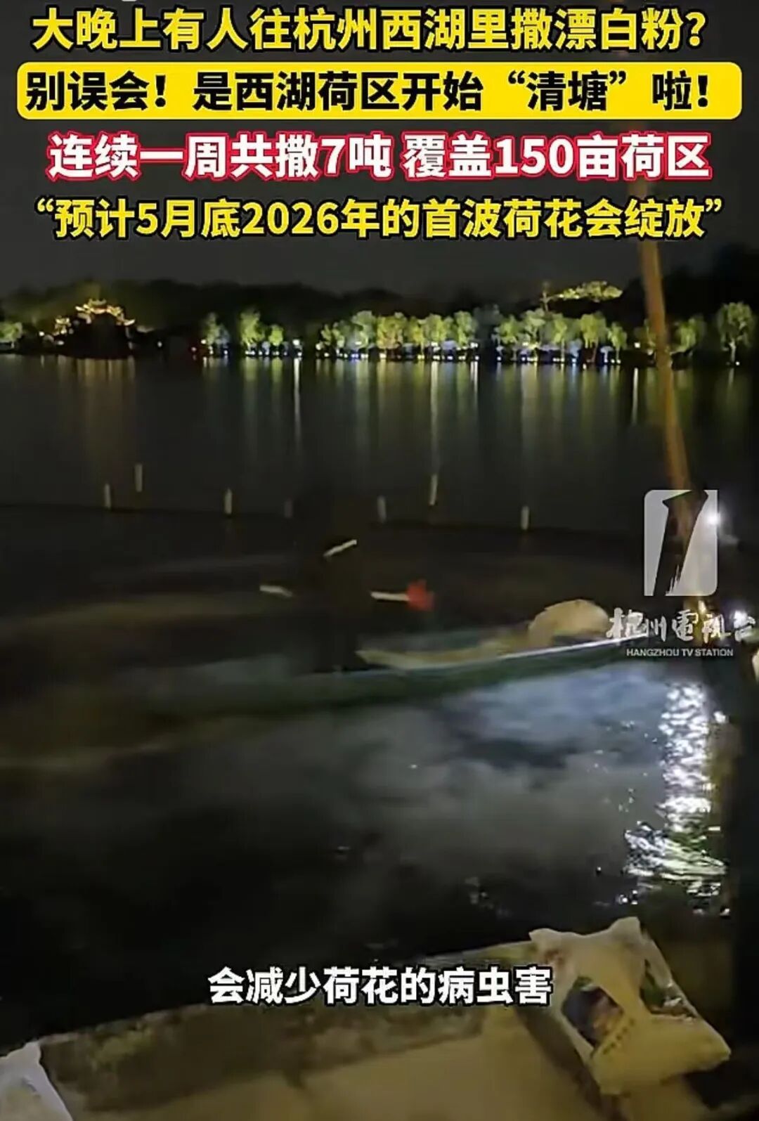 杭州西湖要撒7吨漂白粉,官方回应:不会对西湖水体造成危害 杭州西湖要撒7吨漂白粉,官方回应:不会对西湖水体造成危害